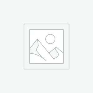 AI Basics for Seniors